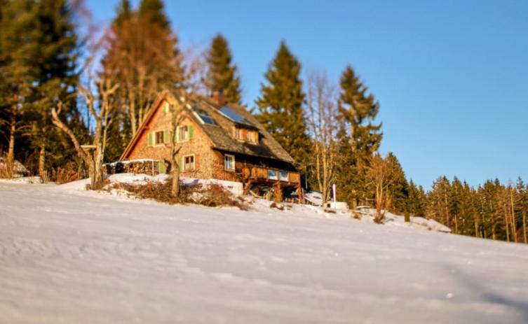 Ferienhaus Am Wäldle Feldberg  Exterior foto